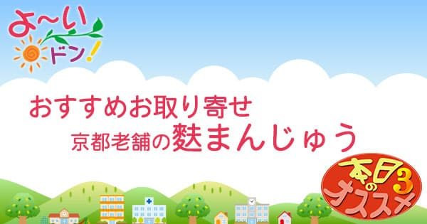 よ～いドン おすすめ3 お取り寄せ 通販 手土産 麩まんじゅう