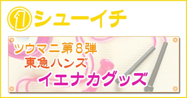 シューイチ 東急ハンズ イエナカグッズ トレーニング