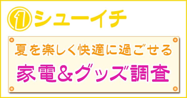 シューイチ 夏を楽しく快適に過ごせる 家電＆グッズ調査