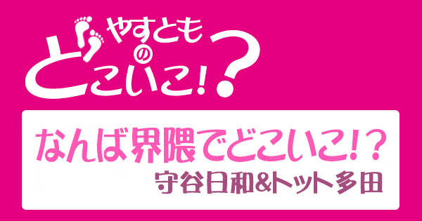 やすとものどこいこ やすよともこ オススメ商品 なんば 守谷日和 トット多田