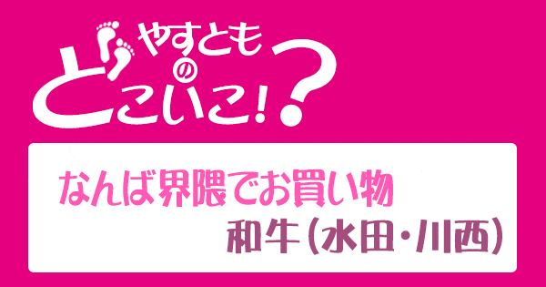 やすとものどこいこ やすよともこ オススメ商品 和牛 なんば