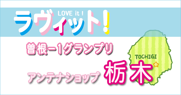 ラヴィット LOVEit ラビット ギャル曽根 曽根-1グランプリ 栃木 アンテナショップ