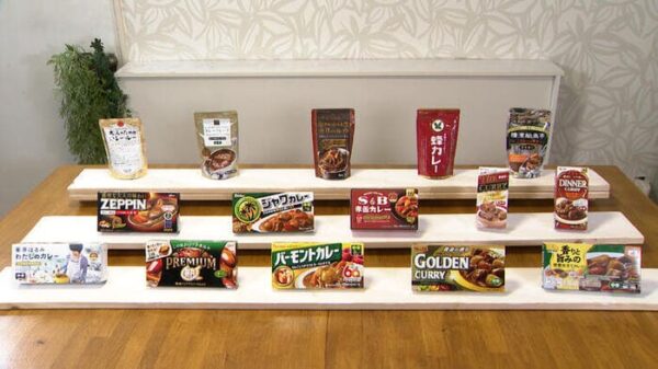 サタプラ ひたすら試してランキング ベスト5 カレールウ