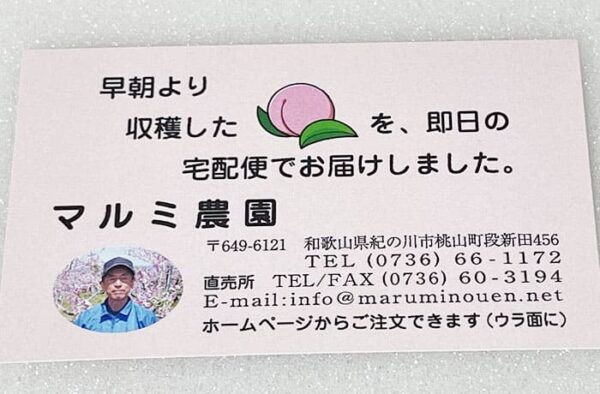 和歌山 紀の川市 桃山町 ブランド桃 あら川の桃 なつっこ ふるさと納税 マルミ農園