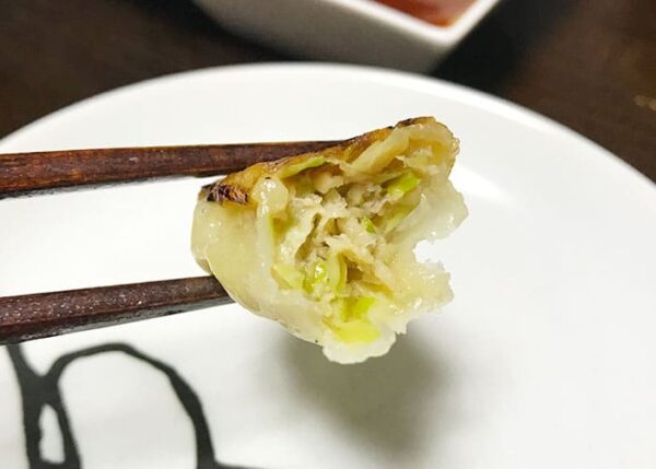 浜松餃子 ひろかね 冷凍餃子 お取り寄せ 肉巻き餃子