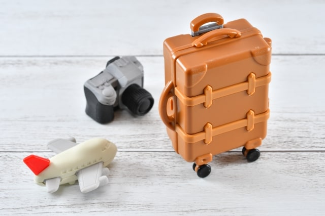 ZIP 旅行アイテム 旅行グッズ